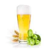 brewing supplies online
